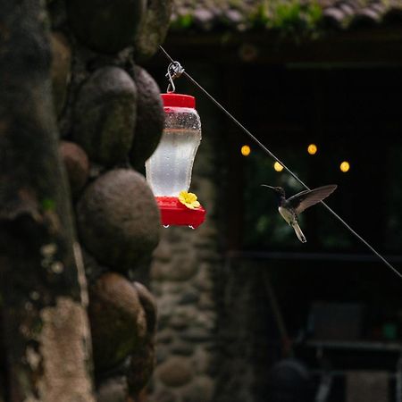 Hotel Pura Vista Glamping El Castillo Zewnętrze zdjęcie