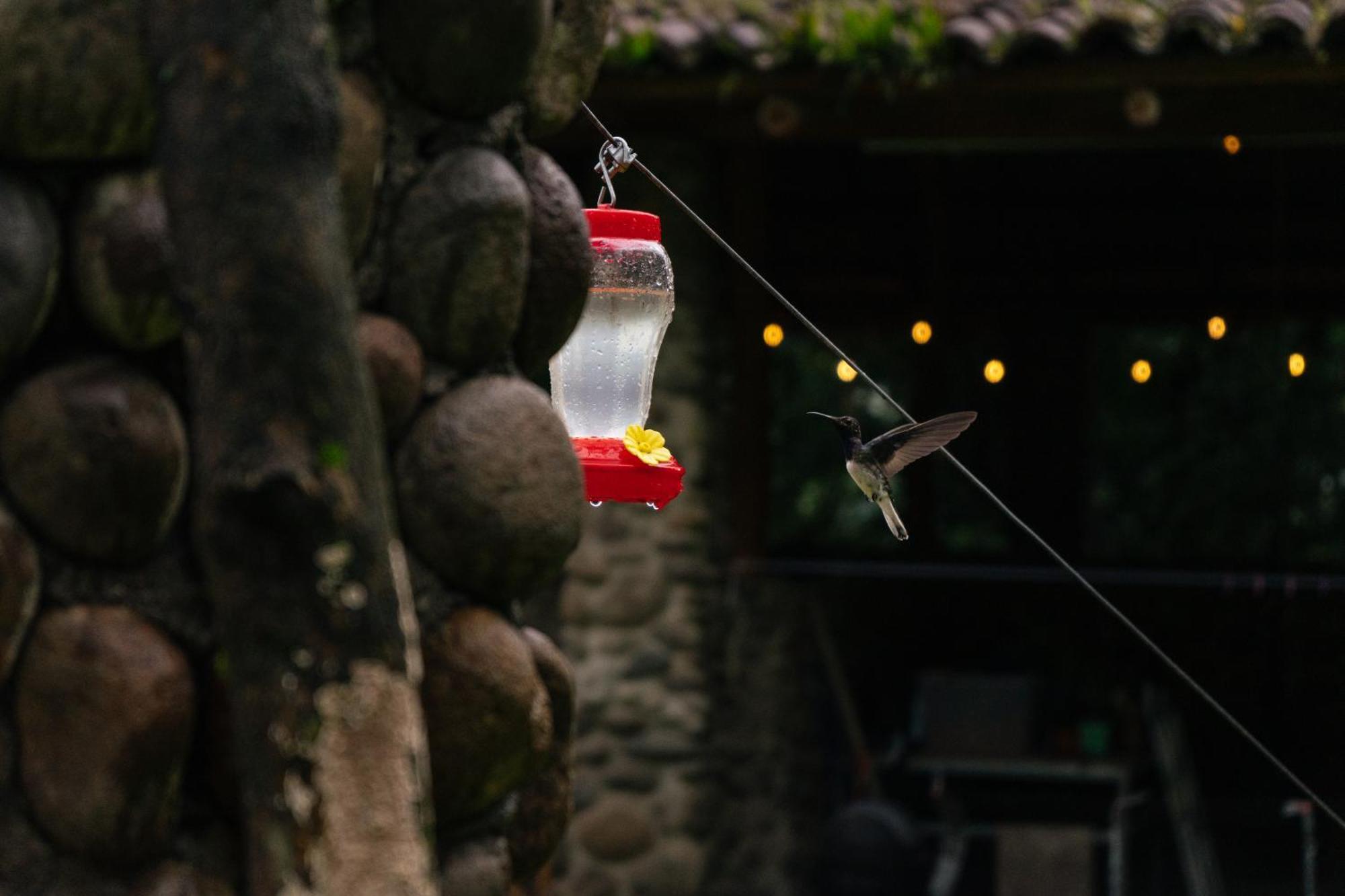 Hotel Pura Vista Glamping El Castillo Zewnętrze zdjęcie