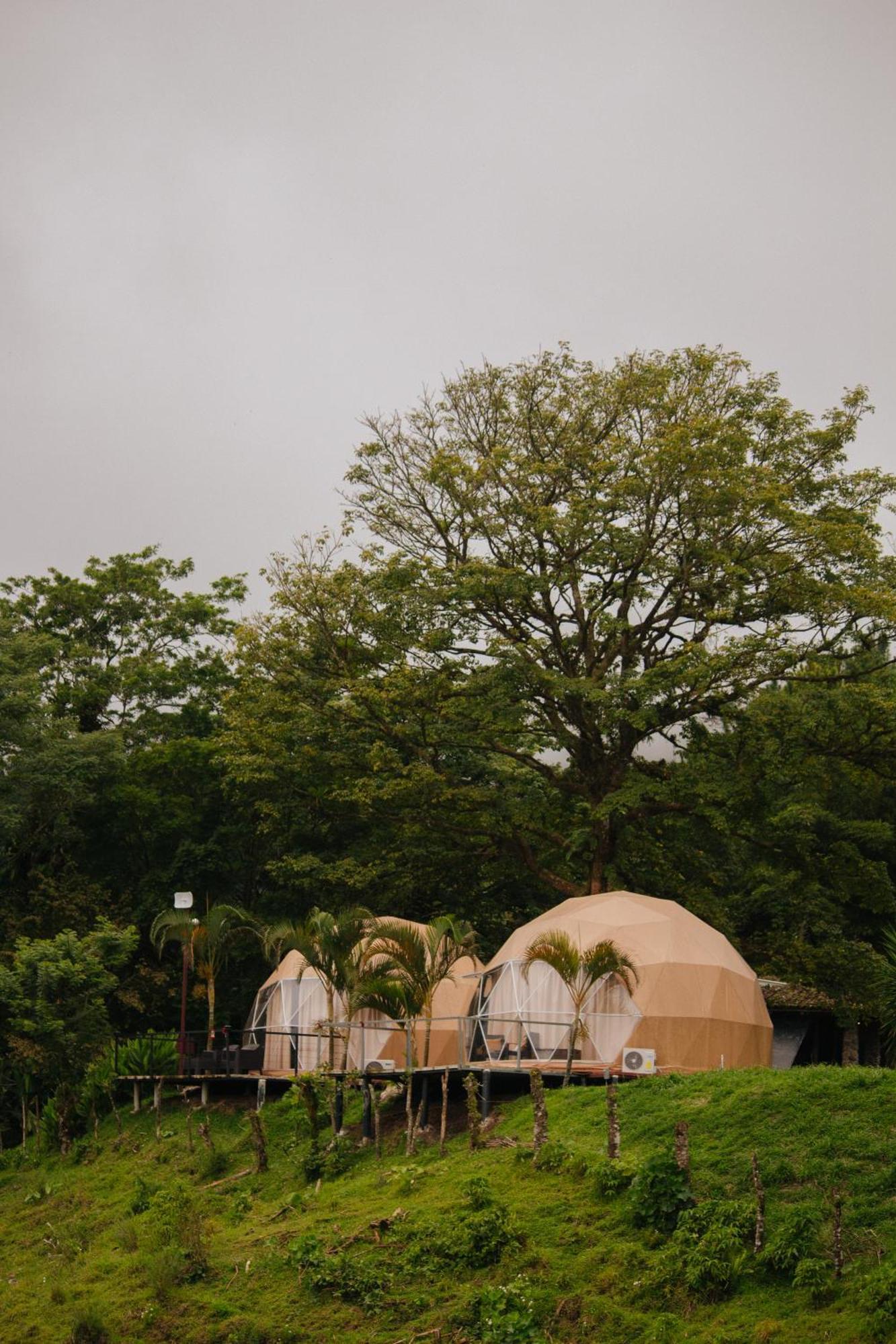 Hotel Pura Vista Glamping El Castillo Zewnętrze zdjęcie